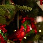 GLASS RED CARDINAL HANGING - Pure Apotheca