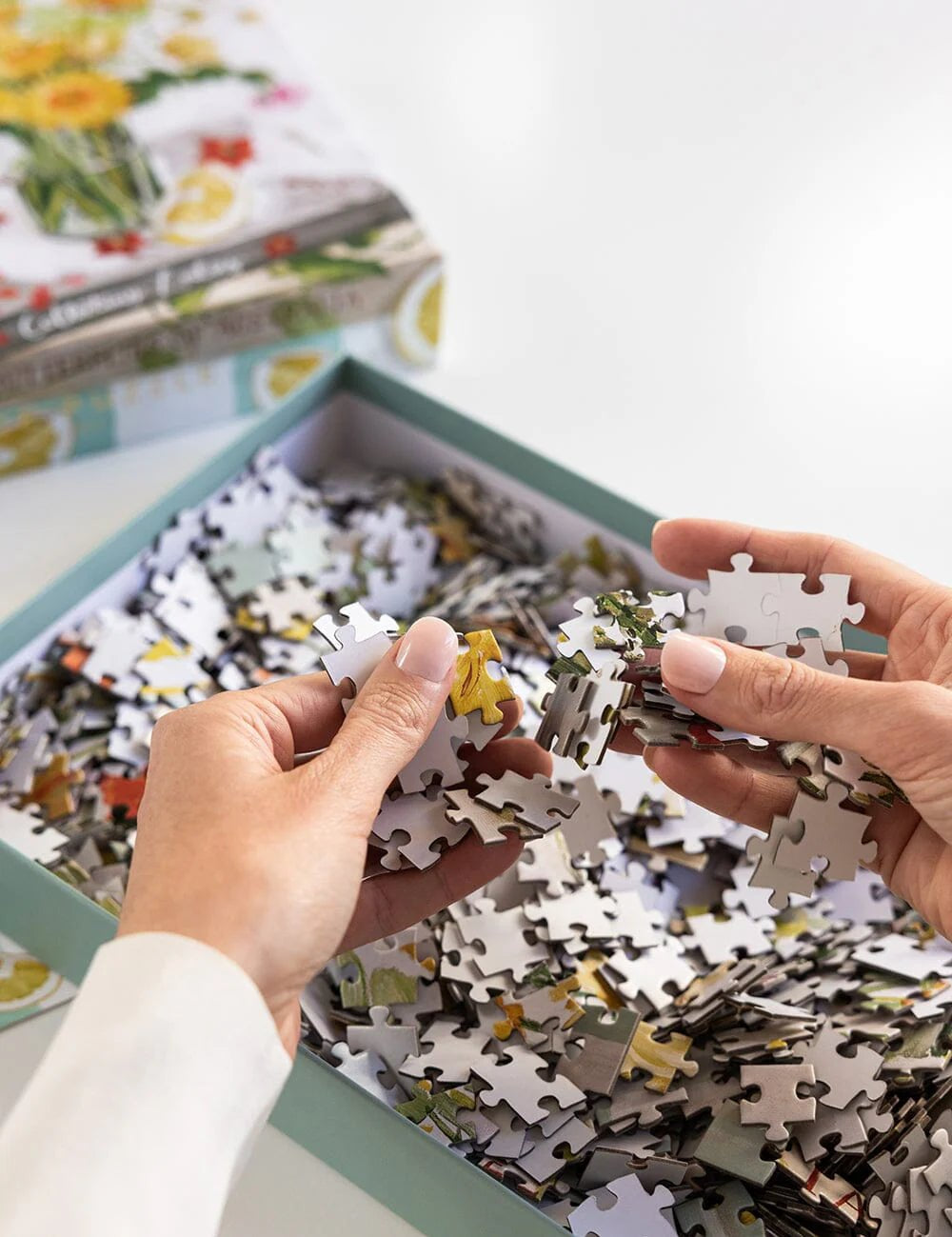 Native Wildflowers 1000pc Puzzle - Pure Apotheca