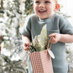 Small Gift Bag - Christmas Tartan - Pure Apotheca