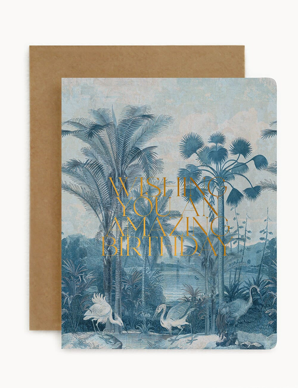 Wishing You An Amazing Birthday Subcontinent Card - Pure Apotheca