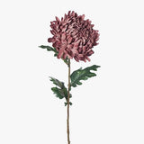 Chrysanthemum Dusty Mauve 76cm - Pure Apotheca