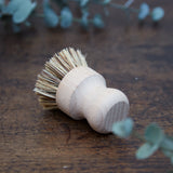 Dish Brush - Pure Apotheca