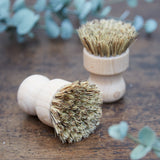 Dish Brush - Pure Apotheca