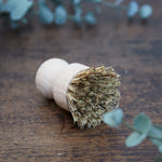Dish Brush - Pure Apotheca