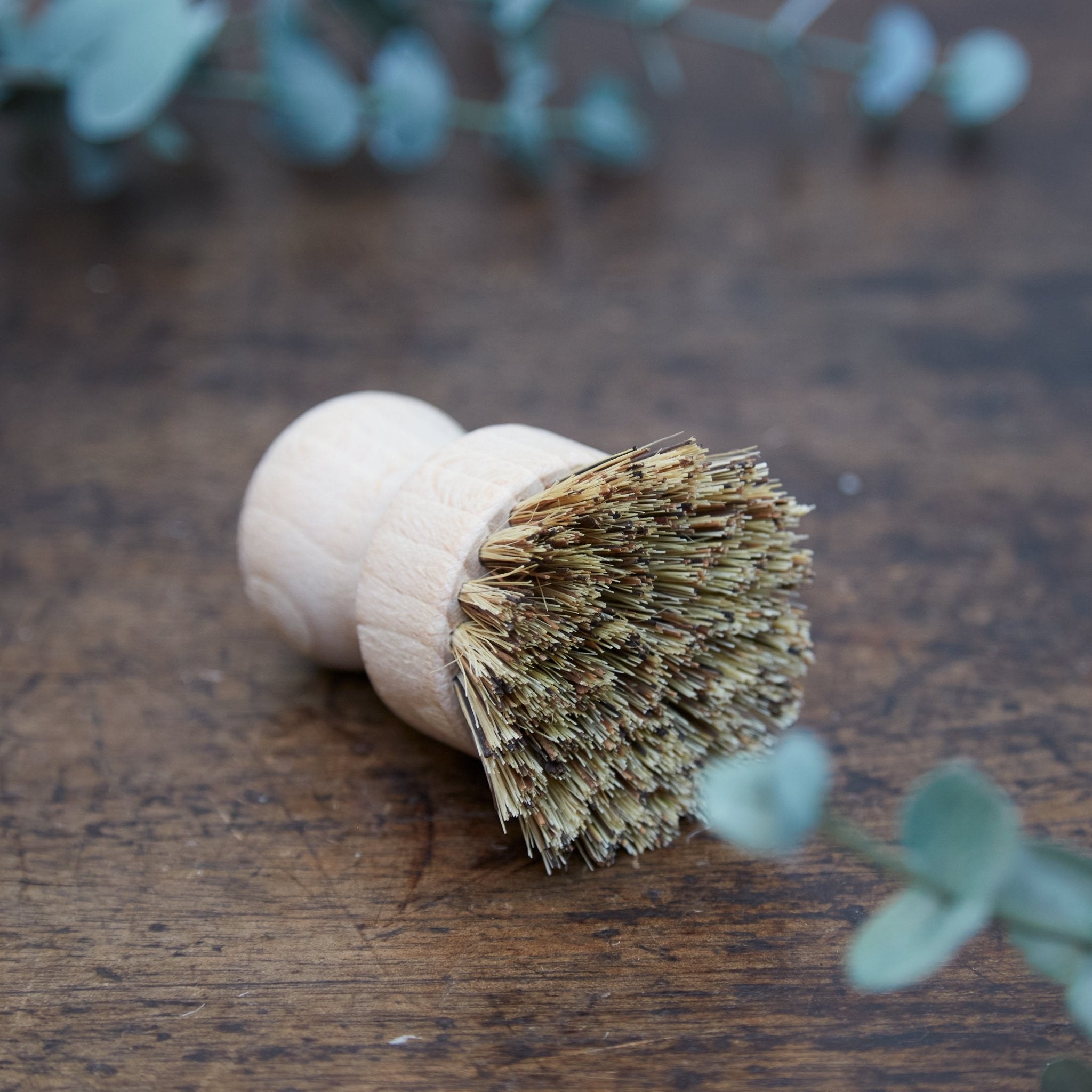 Dish Brush - Pure Apotheca