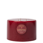 Elume Pillar 3 Wick Candle Cinnamon Spice & Berries 6x4” - Pure Apotheca