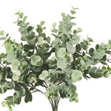 Eucalyptus Bush Grey Green 35cm - Pure Apotheca