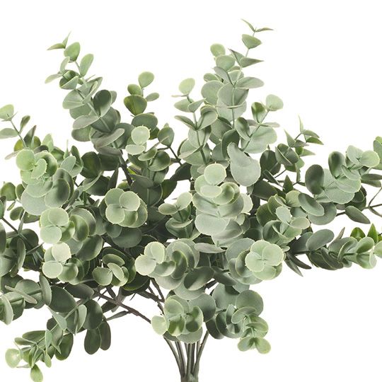 Eucalyptus Bush Grey Green 35cm - Pure Apotheca