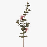 Eucalyptus Flowering Dollar Pink 76cm - Pure Apotheca