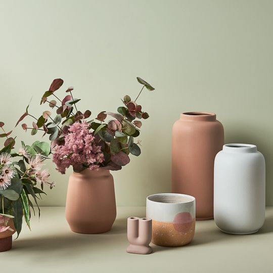 Eucalyptus Silver Dollar Bush Pink Grey 55cm - Pure Apotheca