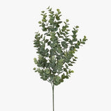 Eucalyptus Spray Grey Green 66cm - Pure Apotheca