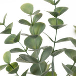 Eucalyptus Spray Grey Green 66cm - Pure Apotheca