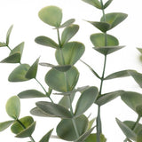 Eucalyptus Spray Grey Green 66cm - Pure Apotheca