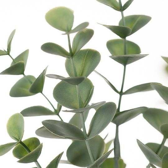 Eucalyptus Spray Grey Green 66cm - Pure Apotheca