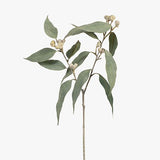 Eucalyptus Tetragona Spray Grey 64cm - Pure Apotheca