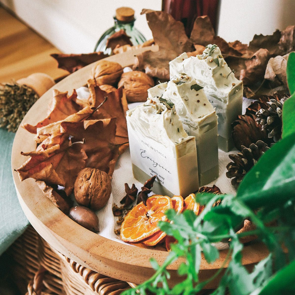 Evergreen Soap Bar - Pure Apotheca