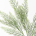 Fern Coral Spray Grey Green 70cm - Pure Apotheca