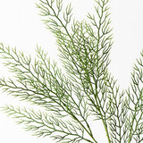 Fern Coral Spray Grey Green 70cm - Pure Apotheca