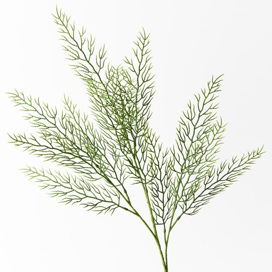 Fern Coral Spray Grey Green 70cm - Pure Apotheca