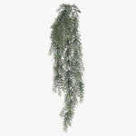 Fern Sprengeri Hanging Bush Grey Green 85cm - Pure Apotheca