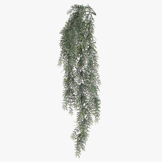 Fern Sprengeri Hanging Bush Grey Green 85cm - Pure Apotheca