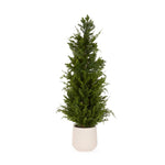 122 CM POTTED SPRUCE TREE - Pure Apotheca