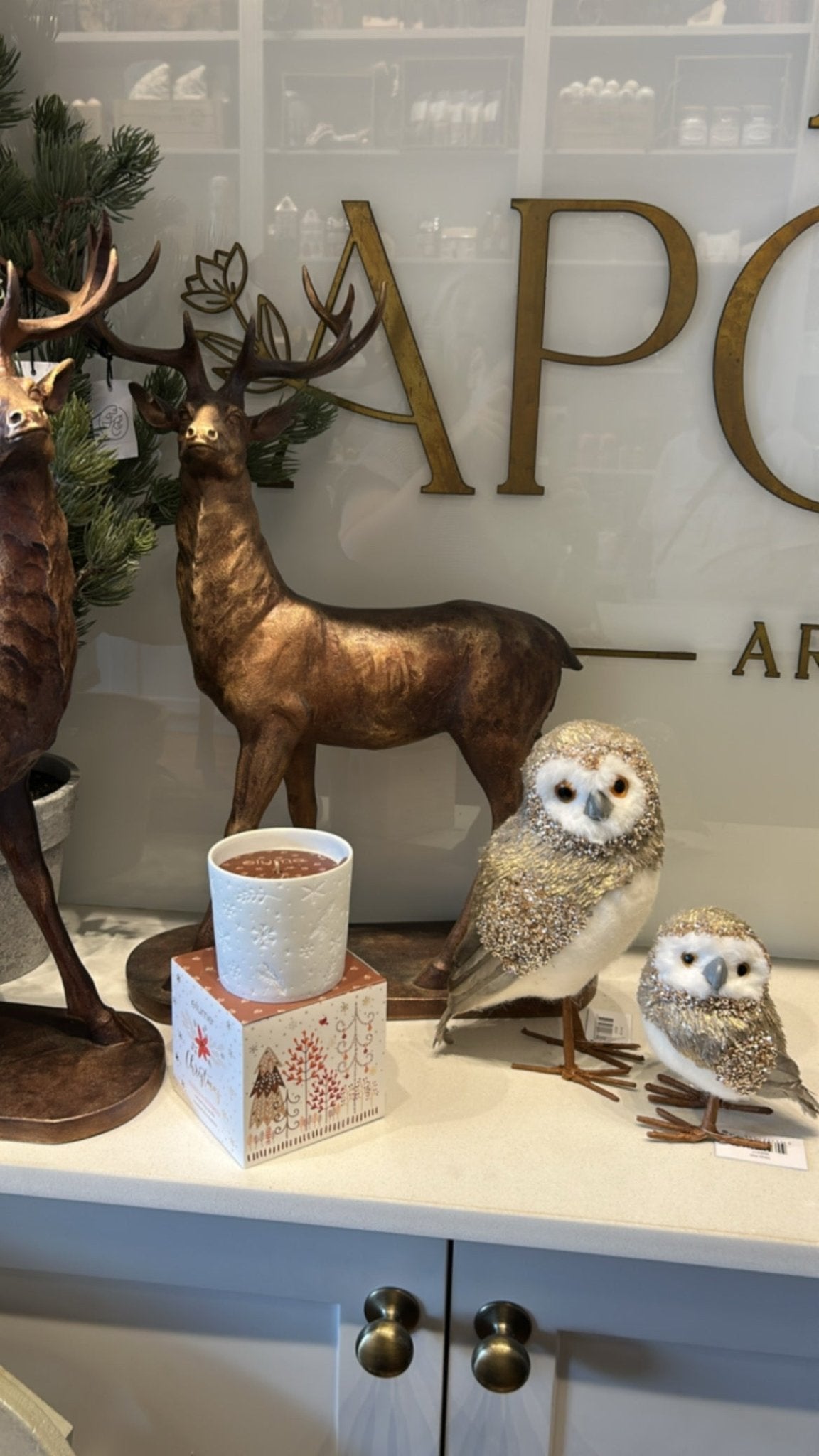 14CM BARN OWL - Pure Apotheca