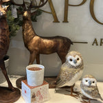 14CM BARN OWL - Pure Apotheca