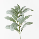 Lambs Ear Leaf Pick Grey Green 36cm