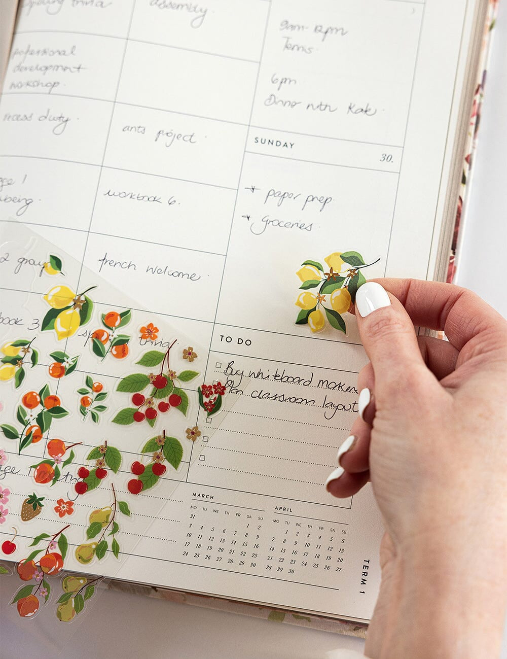 2025 Teachers Planner Peony - Pure Apotheca