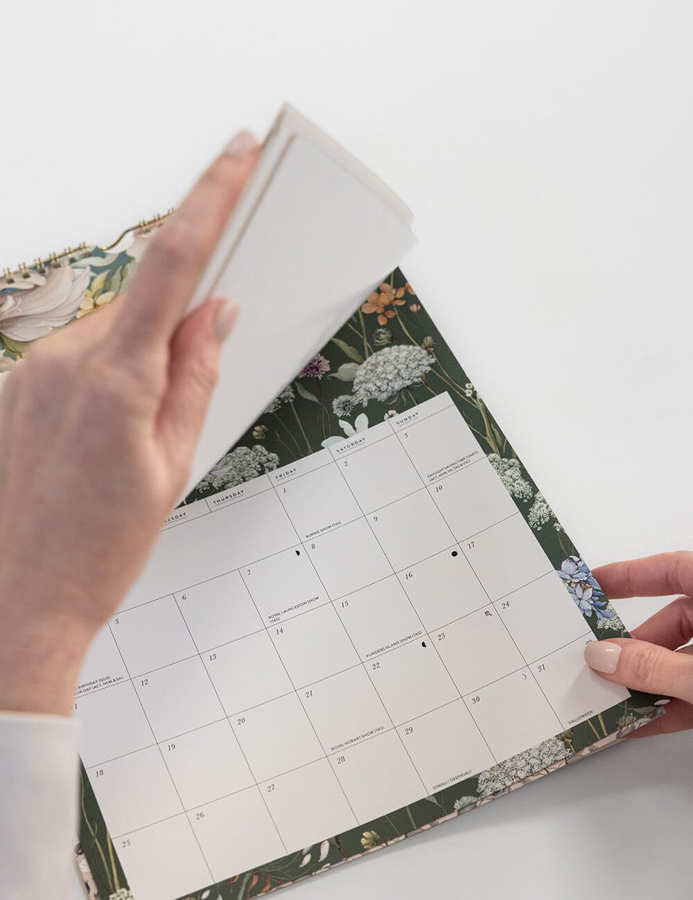 2027 Wall Calendar - Promenade - Pure Apotheca