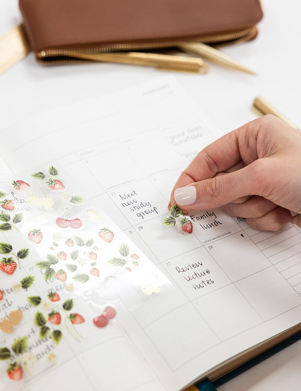 2027 Weekly Student Planner Ashford Teal - Pure Apotheca