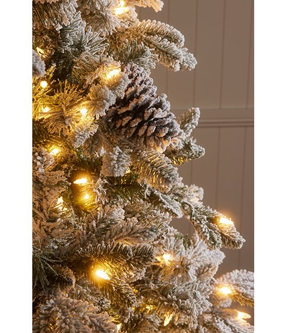 2.3m/7.5 Ft Pre - Lit Flocked Pine Tree - Pure Apotheca