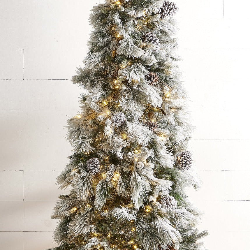 2.3m/7.5 Ft Pre - Lit Flocked Pine Tree - Pure Apotheca