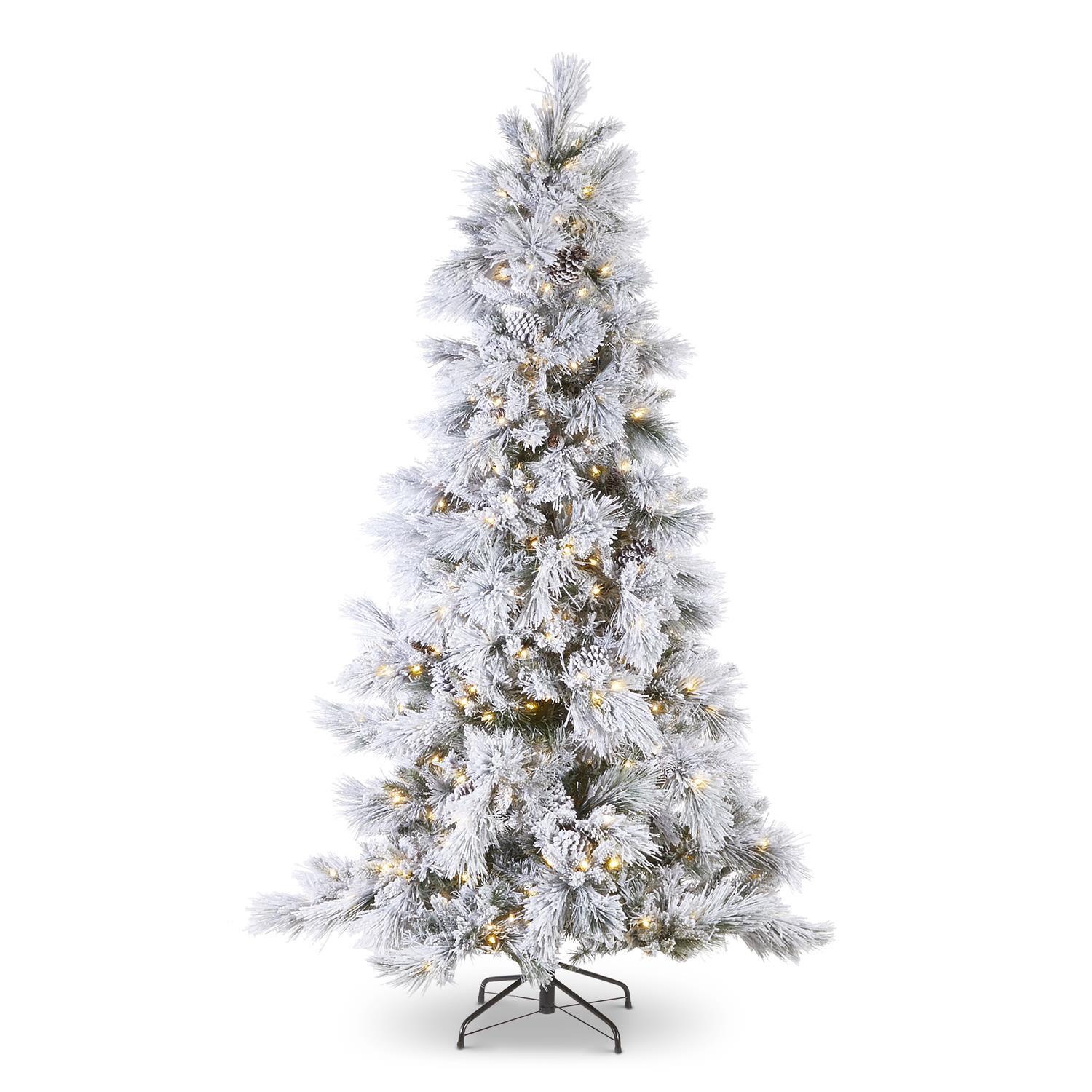 2.3m/7.5 Ft Pre - Lit Flocked Pine Tree - Pure Apotheca