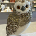 24CM BARN OWL - Pure Apotheca