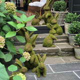 46 CM MOSSY MEADOW RABBIT - Pure Apotheca