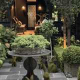 46 CM MOSSY MEADOW RABBIT - Pure Apotheca