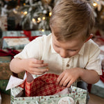 4pk Tissue Paper - Christmas Red Check - Pure Apotheca