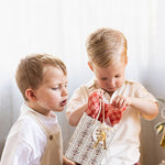 4pk Tissue Paper - Christmas Red Check - Pure Apotheca