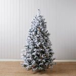 5.5 FT DOUGLAS FIR SNOW TREE - 230 LED - Pure Apotheca