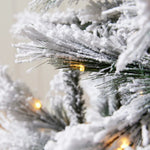 5.5 FT DOUGLAS FIR SNOW TREE - 230 LED - Pure Apotheca