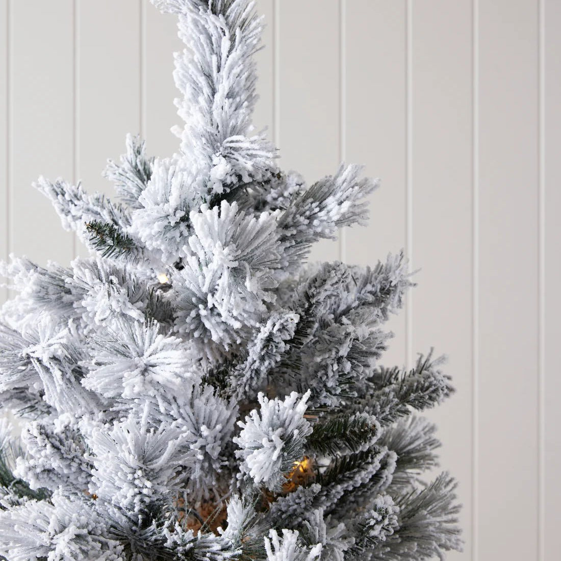 5.5 FT DOUGLAS FIR SNOW TREE - 230 LED - Pure Apotheca