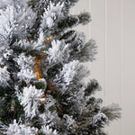 5.5 FT DOUGLAS FIR SNOW TREE - 230 LED - Pure Apotheca