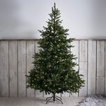 5.5 FT GRAND SPRUCE TREE - 400 LED - Pure Apotheca