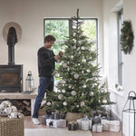 5.5 FT GRAND SPRUCE TREE - 400 LED - Pure Apotheca
