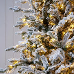 5.5 FT NORWEGIAN PINE SNOW TREE - 420 LED - Pure Apotheca
