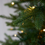 6 FT EVERGREEN TREE - 340 LED - Pure Apotheca