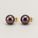 Amalia Midnight Blue Pearl Studs