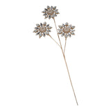 73cm Starburst 3 Spike Spray - Pure Apotheca